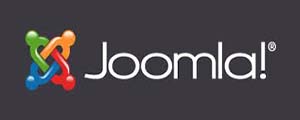 Joomla services which include Joomla CMS development, Joomla Extension Development, Joomla customization services, Joomla Theme Development, Joomla Template Design, Joomla development services India, Enterprise Joomla development, Offshore Joomla Development.